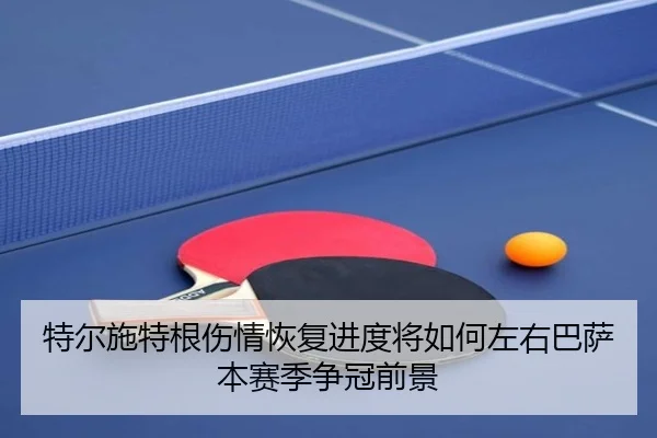 te-er-shi-te-gen-shang-qing-hui-fu-jin-du-jiang-ru-he-zuo-you-ba-sa-ben-sai-ji-zheng-guan-qian-jing-2-272.jpg