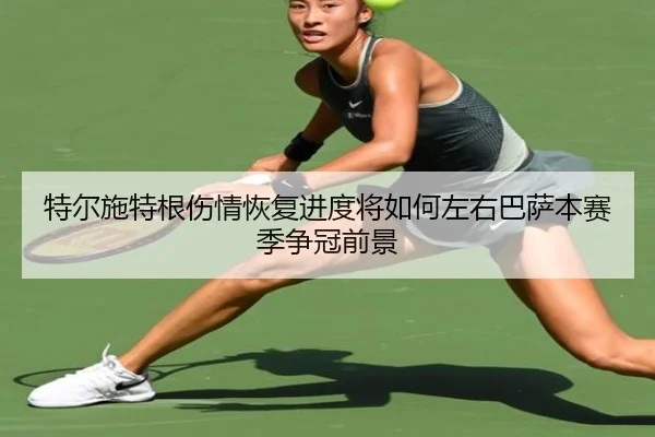 te-er-shi-te-gen-shang-qing-hui-fu-jin-du-jiang-ru-he-zuo-you-ba-sa-ben-sai-ji-zheng-guan-qian-jing-3-506.jpg